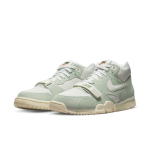 air-jordan-trainer-1 DX4462-300