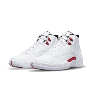 air-jordan-12 CT8013-106