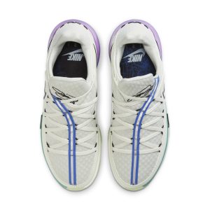 nike-lebron-17 CD5007-005