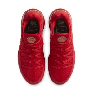 nike-lebron-17 CD5008-600