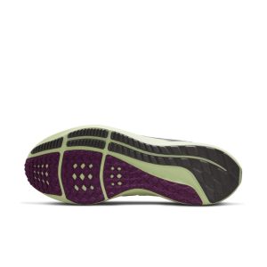 nike-air-pegasus DH4071-101