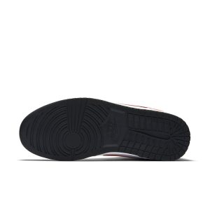 nike-dunk 826668-160