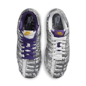 nike-dunk DJ4636-100