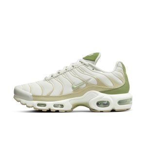 Nike Air Max Plusen Grijs (DX8954-001)