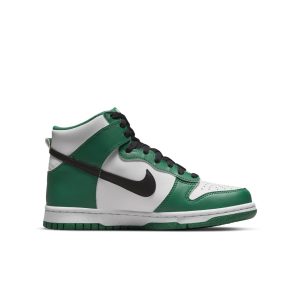 nike-dunk DR0527-300