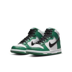 nike-dunk DR0527-300