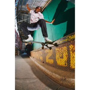 vans-ave-pro VN0A5HEN38N