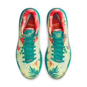 nike-lebron-9 DO9355-300