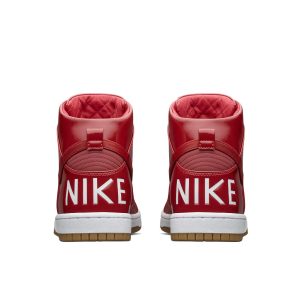 nike-dunk 718790-661