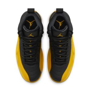 air-jordan-12 130690-070