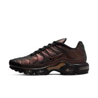 Nike Air Max Plusen Zwart (DH4778-001)