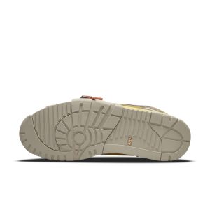 air-jordan-trainer-1 DH7338-300