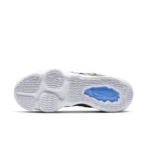 nike-lebron-17 BQ3177-005