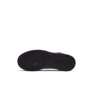 nike-dunk CW1588-100