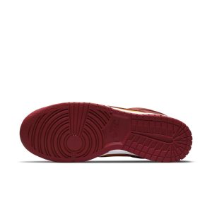 nike-dunk DD1391-701