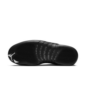 air-jordan-12 CT8013-106