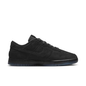nike-dunk DO9329-001