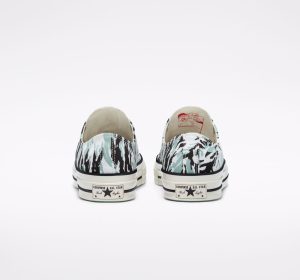 converse-chuck-70-low 171238C