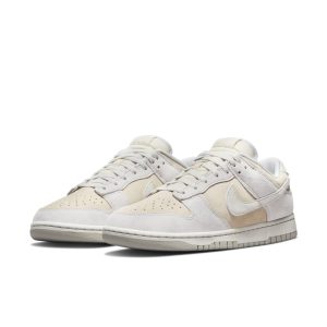 nike-dunk DD8338-001