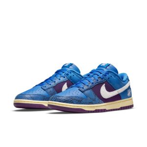 nike-dunk DH6508-400