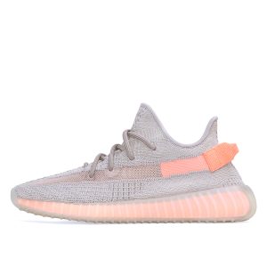 Adidas Yeezy Boost 350 V2 True Form (EG7492)