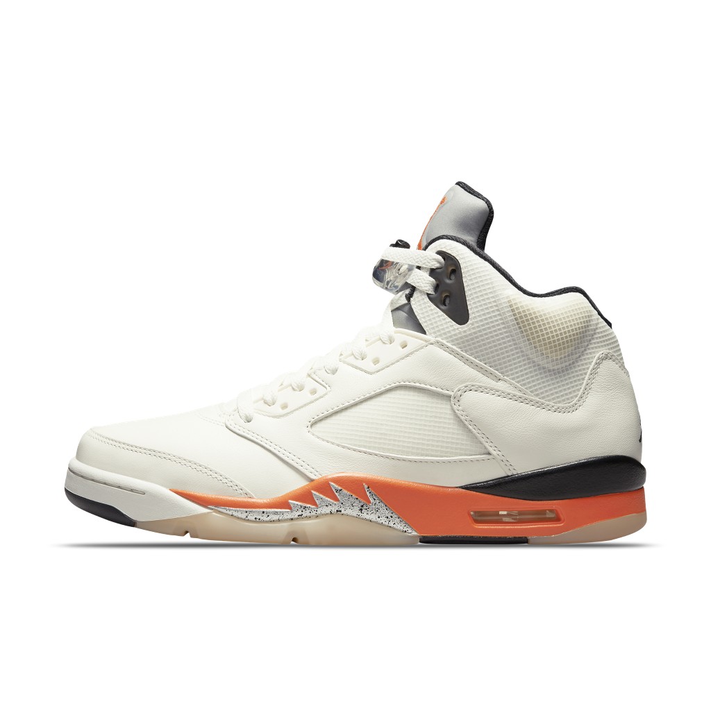 air-jordan-10 DC1060-100