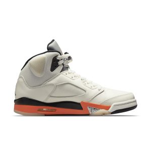 air-jordan-10 DC1060-100