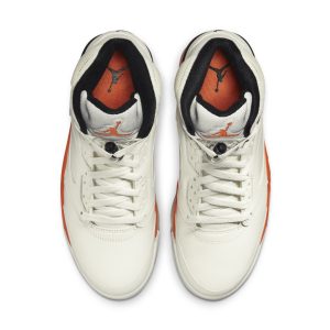 air-jordan-10 DC1060-100