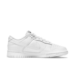 nike-dunk DD1503-109