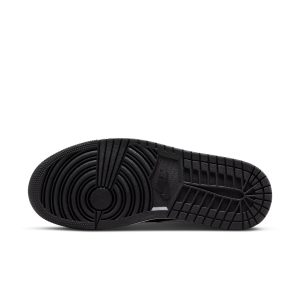 air-jordan-10 DR0501-101