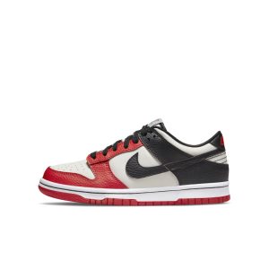 nike-dunk DD3363-100