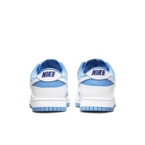 nike-dunk DJ9955-101