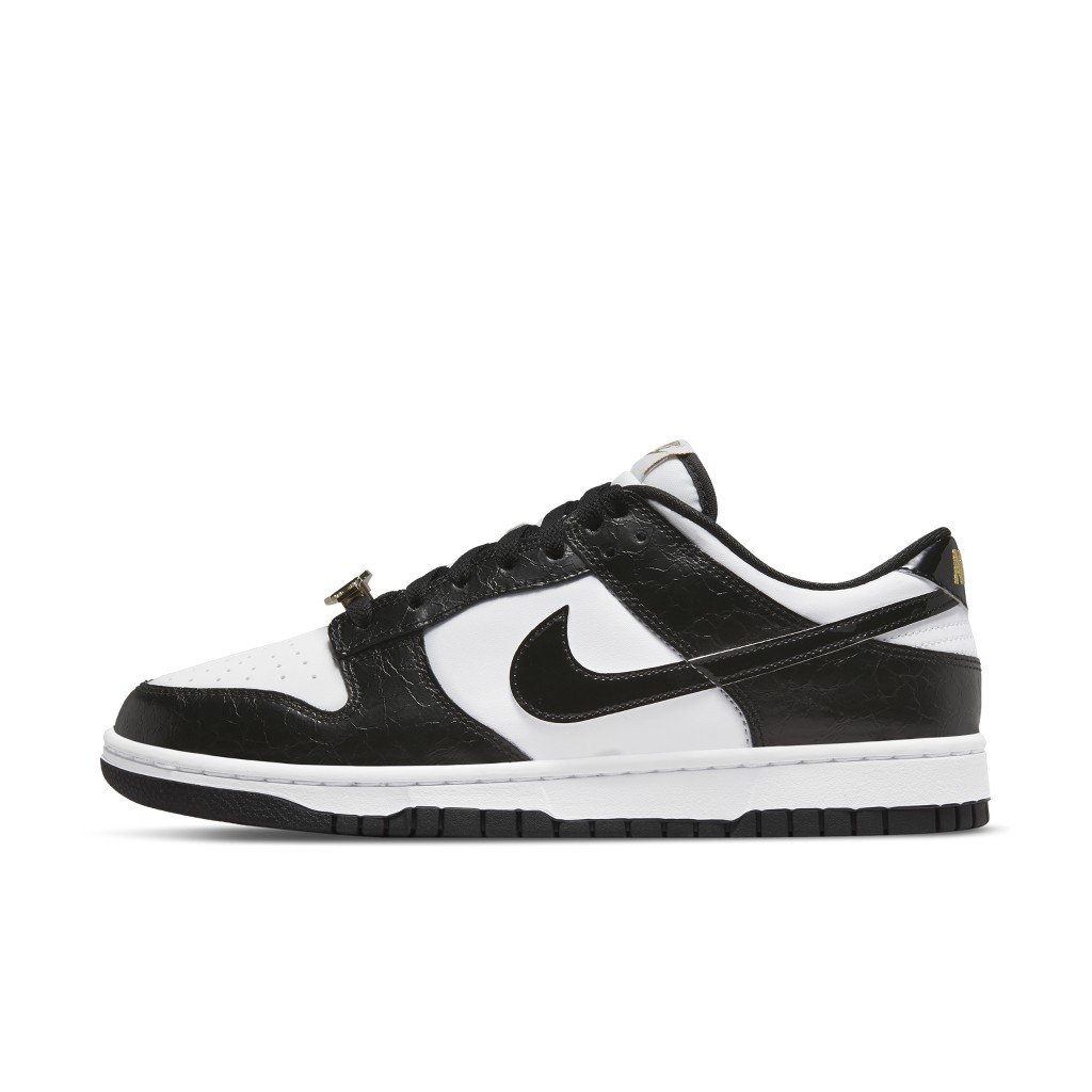 nike-dunk DR9511-100