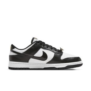 nike-dunk DR9511-100