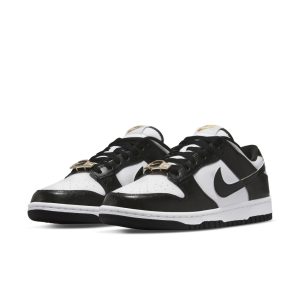 nike-dunk DR9511-100