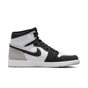 air-jordan-10 555088-108