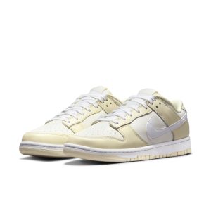 nike-dunk DJ6188-100
