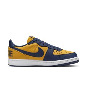 nike-terminator FJ4206-700