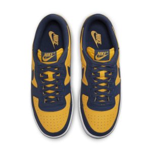 nike-terminator FJ4206-700