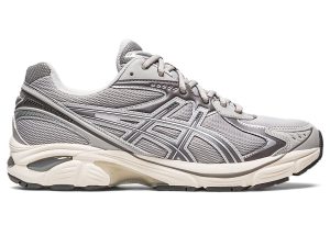 Asics Gt-2160 Oyster Grey/Carbon (1203A320.020)