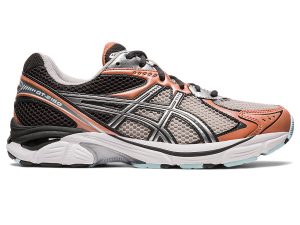 Asics Gt-2160 Oyster Grey/Brick Dust (1203A275.021)