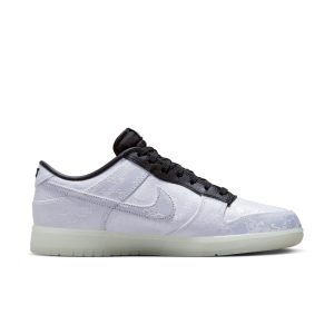 nike-dunk FN0315-110