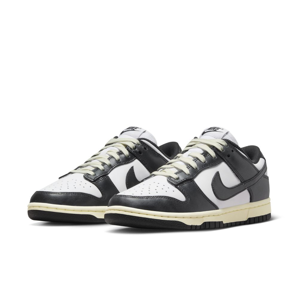 nike-dunk FQ8899-100