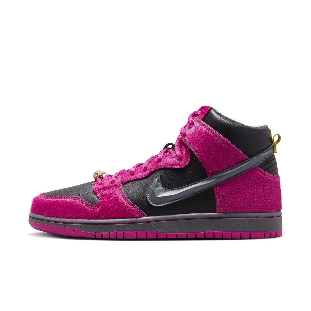nike-dunk-sb DX4356-600