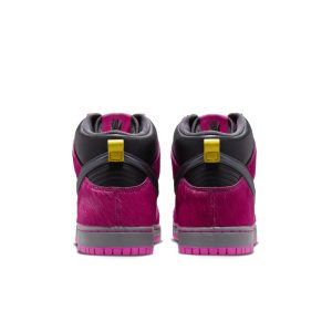 nike-dunk-sb DX4356-600