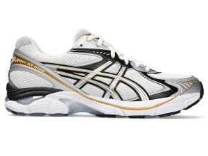 Asics Gt-2160 Cream/Pure Silver (1203A320.100)