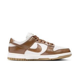 nike-dunk FJ2260-001