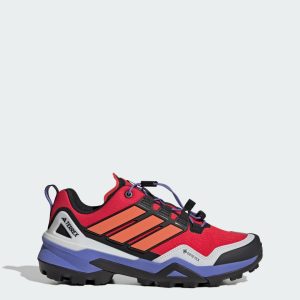 Adidas Terrex Skychaser GORE-TEX Hiking Pure Ruby / Semi Cobalt Blue / Core Black (IH1102)