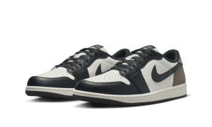 air-jordan-1 CZ0790-102