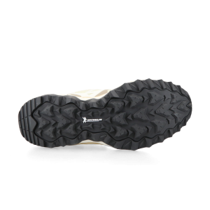 mizuno-mujin D1GA237306